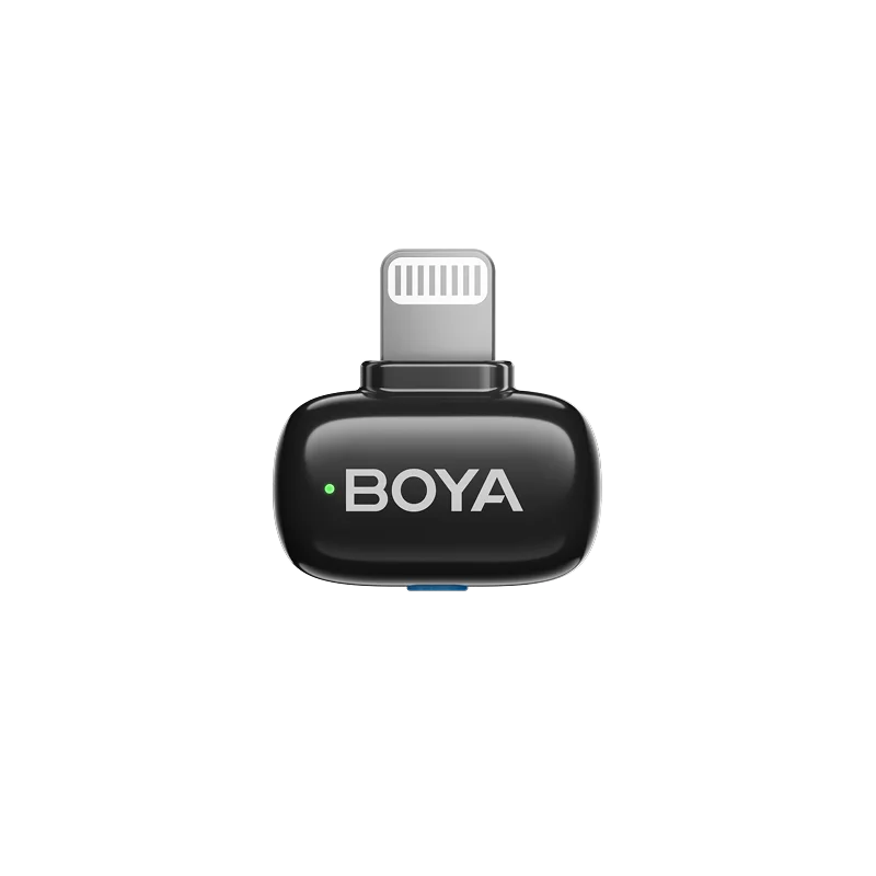 Receptor (Lightning)